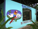 17 Public Library in Puerto Jimenez in Costa Rica 800