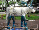 classy cow 28 800
