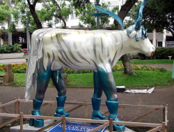 classy cow 28 800