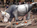 classy cow 42 800