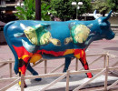classy cow 47 800