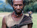 91 Bird Nest Man in the Highlands 800