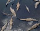 40 Not a place to test the water 800