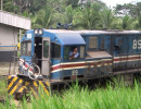 costa  rica 4 800