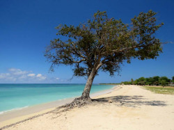 cuban beach 800