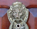 img 5248 800