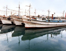 53 fishing boats in south korea 800