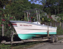 80 no problemas in puerto jimenez in costa rica 800