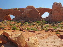 arches np 31 800