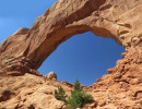 arches np 36 800