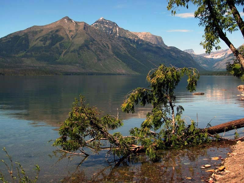 glacier np  4 8005