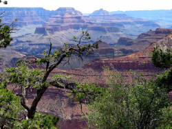 grand canyon 5 800