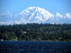 mt ranier 800a