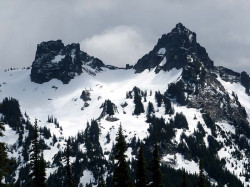 mt. ranier 11 800