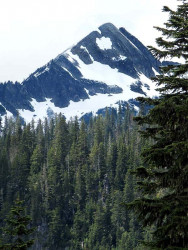 mt. ranier 16 800