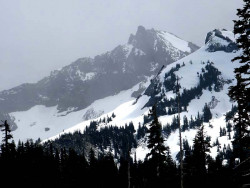 mt. ranier 7 800