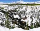 yellowstone national park   wyoming 1 800