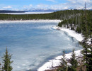 yellowstone national park   wyoming 9 800