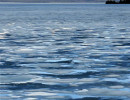 yellowstone national park   wyoming 48 800