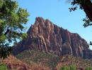 zion national park 11 800