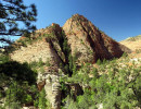 zion national park 17 800