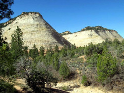 zion national park 8 800