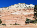 zion national park 9 800