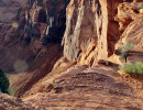 horseshoe bend state park 11 800