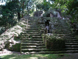 18 smaller pyramid within the mayan ruins of tikal 800a