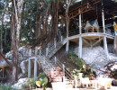 54 buddhist temple at the  sacred trees of sukhothai 800