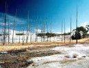 32 thermal activity at yellowstone national park  2  800