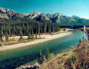 9 alongside the icefields parkway in banff 800