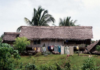 Papua New Guinea