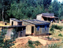 96 family compound in coastal region of papua new guinea 800