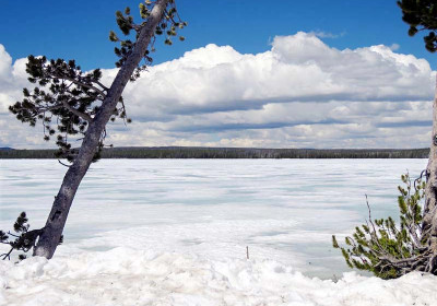 Yellowstone