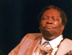 bb king ig