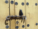 knocker