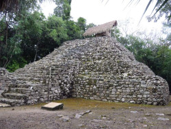 coba