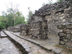 coba