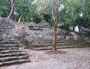 coba