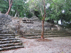 coba