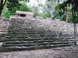 coba