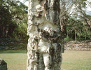 33 well weathered statue of mayan royalty at copan