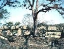 44 stone steps at the ruins of copan