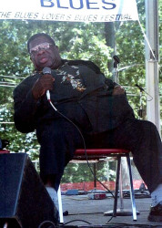 harmonica fats  3 