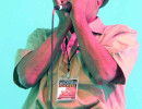 harmonica shaw