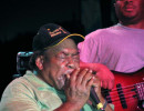 james cotton 3