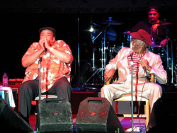 james cotton 5