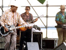 johnny copeland  8 