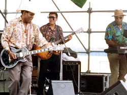 johnny copeland  8 
